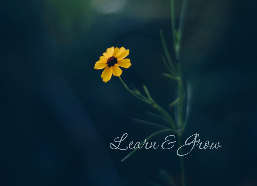 Learn and grow